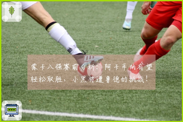 蒙卡八强赛前分析：阿卡辛纳有望轻松取胜，小黑将遭鲁德的挑战！