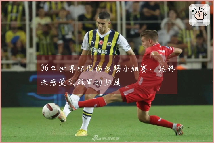 06年世界杯因伤仅踢小组赛，始终未感受到冠军的归属