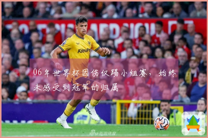 06年世界杯因伤仅踢小组赛，始终未感受到冠军的归属
